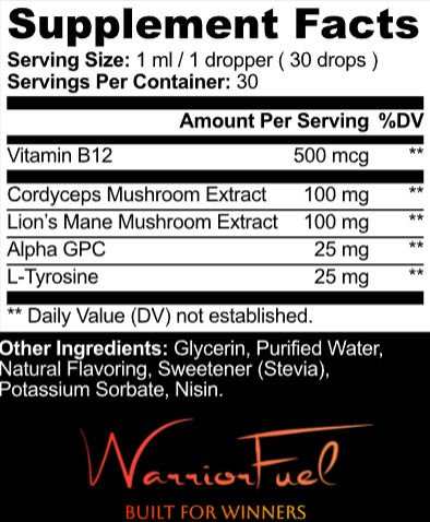 WarriorFuel - Pre-Sparring